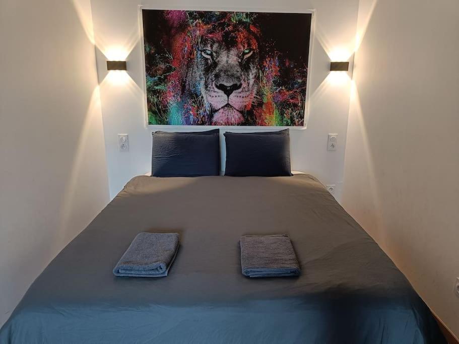 Appartement Confort Equipe Au Coeur De Beziers Béziers Exterior foto